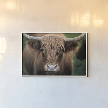Cow Nose by Nathan Larson. shown as a paper print in a white frame. Available as a archival giclee rolled canvas, fine art paper, or poster print. SKU 71432i.