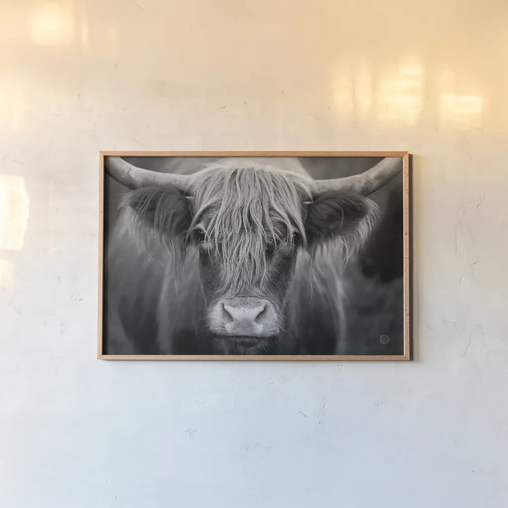 Cow Nose BW by Nathan Larson. shown as a paper print in a natural frame. Available as a archival giclee rolled canvas, fine art paper, or poster print. SKU 71479i.
