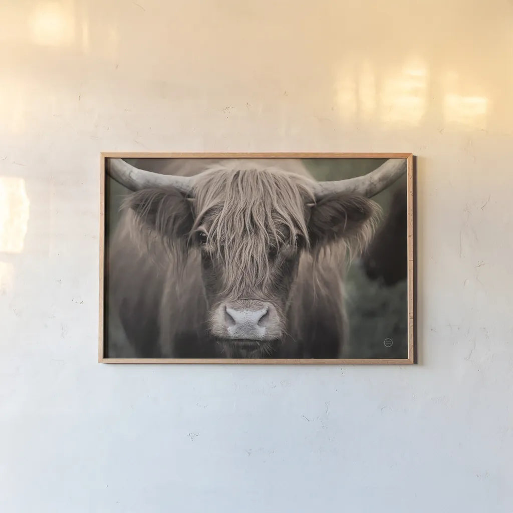Cow Nose Light by Nathan Larson. shown as a paper print in a natural frame. Available as a archival giclee rolled canvas, fine art paper, or poster print. SKU 71480i.