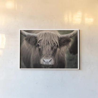 Cow Nose Light by Nathan Larson. shown as a paper print in a white frame. Available as a archival giclee rolled canvas, fine art paper, or poster print. SKU 71480i.