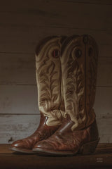 Cowboy Boots VIII by Nathan Larson. SKU 82734h. Archival Giclee Fine art print for wall decor.