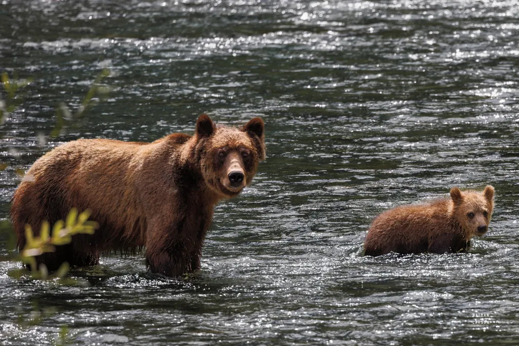 Crossing by Nathan Larson. SKU 89440i. Archival Giclee Fine art print for wall decor.