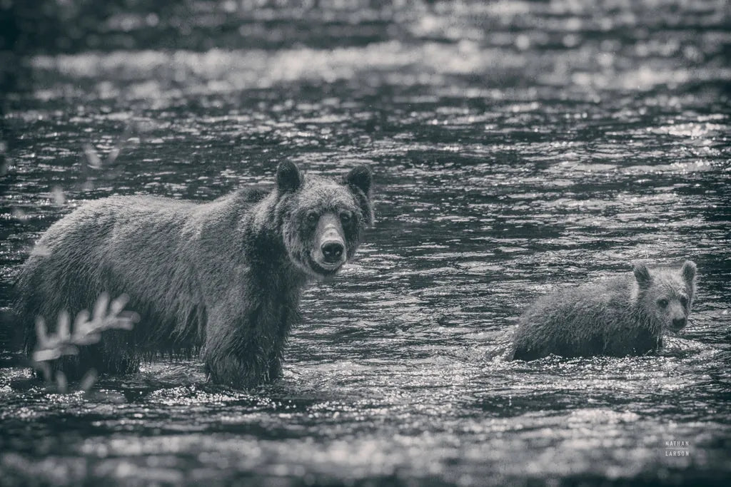 Crossing BW by Nathan Larson. SKU 89441i. Archival Giclee Fine art print for wall decor.