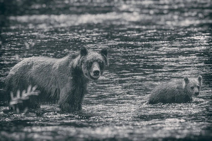 Crossing BW by Nathan Larson. SKU 89441i. Archival Giclee Fine art print for wall decor.