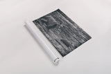 Crossing BW by Nathan Larson. shown as a rolled paper print. Available as archival giclee rolled canvas, fine art paper, or poster print. SKU 89441i.