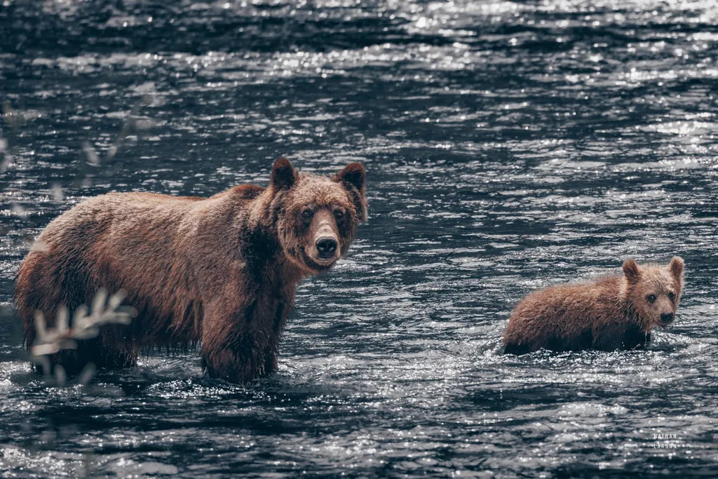 Crossing Neutral by Nathan Larson. SKU 89442i. Archival Giclee Fine art print for wall decor.