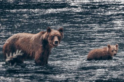 Crossing Neutral by Nathan Larson. SKU 89442i. Archival Giclee Fine art print for wall decor.