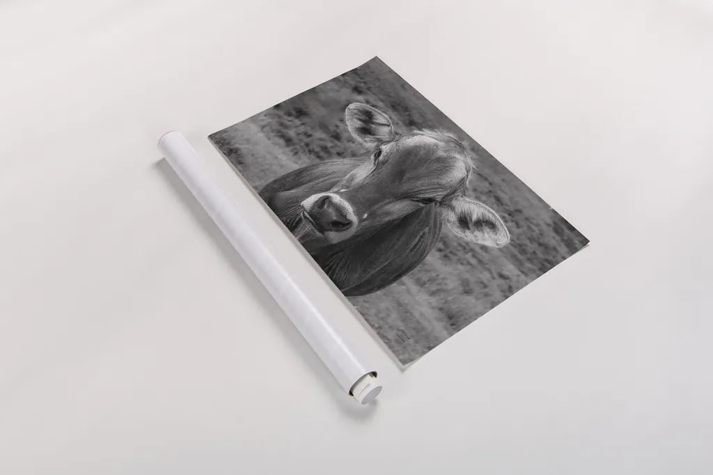 Dairy Barn BW by Nathan Larson. shown as a rolled paper print. Available as archival giclee rolled canvas, fine art paper, or poster print. SKU 82815i.