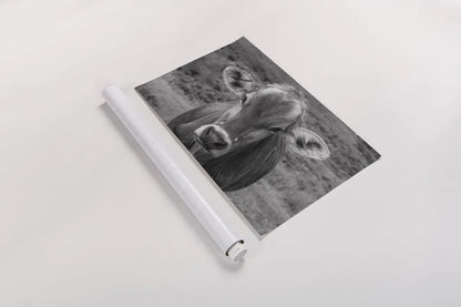 Dairy Barn BW by Nathan Larson. shown as a rolled paper print. Available as archival giclee rolled canvas, fine art paper, or poster print. SKU 82815i.