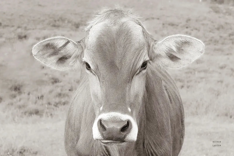 Dairy Barn Neutral by Nathan Larson. SKU 82814i. Archival Giclee Fine art print for wall decor.
