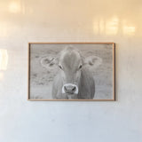 Dairy Barn Neutral by Nathan Larson. shown as a paper print in a natural frame. Available as a archival giclee rolled canvas, fine art paper, or poster print. SKU 82814i.