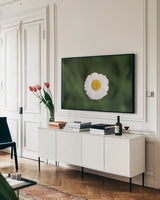 Daisy Down by Nathan Larson. shown as a framed stretched canvas in a living room above a console. Available as a archival giclee rolled canvas, fine art paper, or poster print. SKU 102288i.