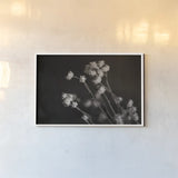 Daisy Study by Nathan Larson. shown as a paper print in a white frame. Available as a archival giclee rolled canvas, fine art paper, or poster print. SKU 76844i.