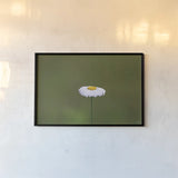 Daisy Up by Nathan Larson. shown as a paper print in a black flame. Available as a archival giclee rolled canvas, fine art paper, or poster print. SKU 102286i.