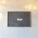 Daisy Up BW by Nathan Larson. shown as a paper print in a natural frame. Available as a archival giclee rolled canvas, fine art paper, or poster print. SKU 102287i.