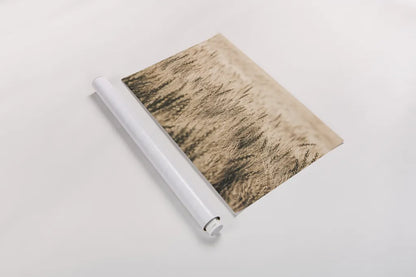 Dakota Wheat Fields by Nathan Larson. shown as a rolled paper print. Available as archival giclee rolled canvas, fine art paper, or poster print. SKU 71167i.