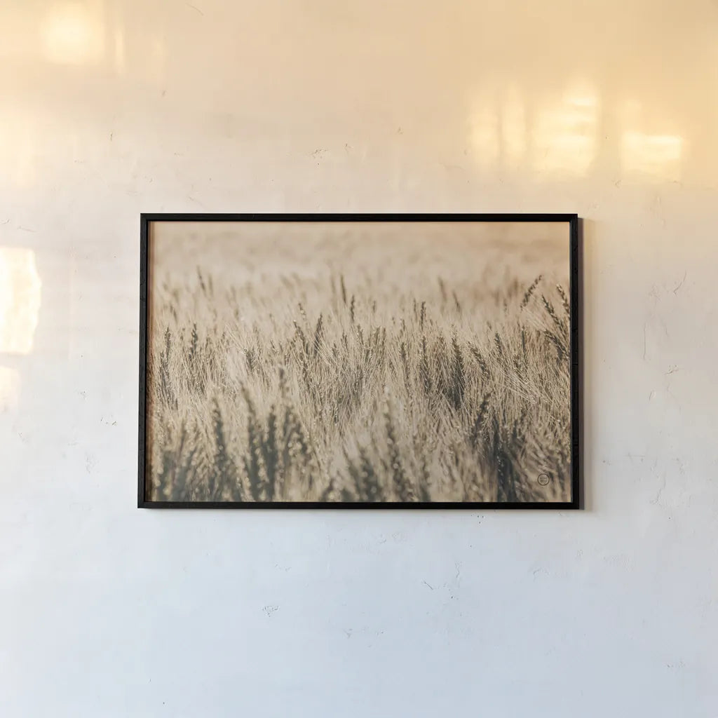 Dakota Wheat Fields by Nathan Larson. shown as a paper print in a black flame. Available as a archival giclee rolled canvas, fine art paper, or poster print. SKU 71167i.