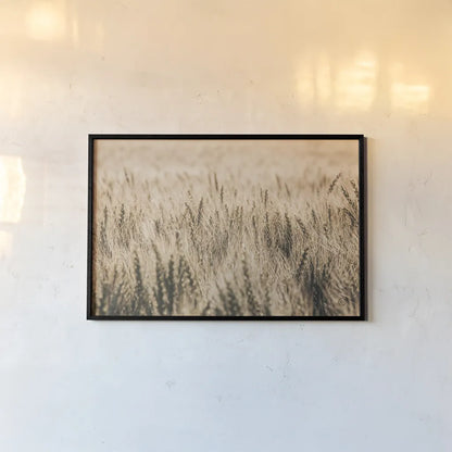 Dakota Wheat Fields by Nathan Larson. shown as a paper print in a black flame. Available as a archival giclee rolled canvas, fine art paper, or poster print. SKU 71167i.
