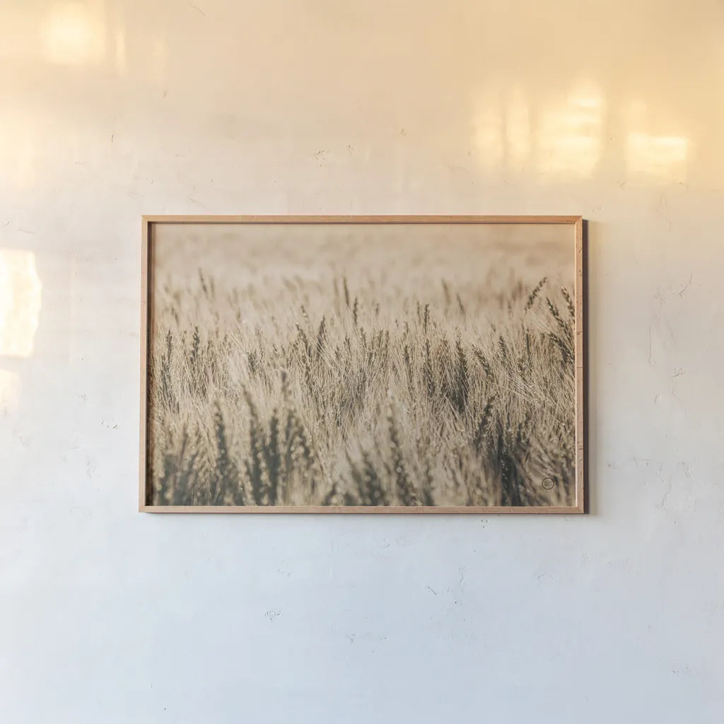 Dakota Wheat Fields by Nathan Larson. shown as a paper print in a natural frame. Available as a archival giclee rolled canvas, fine art paper, or poster print. SKU 71167i.