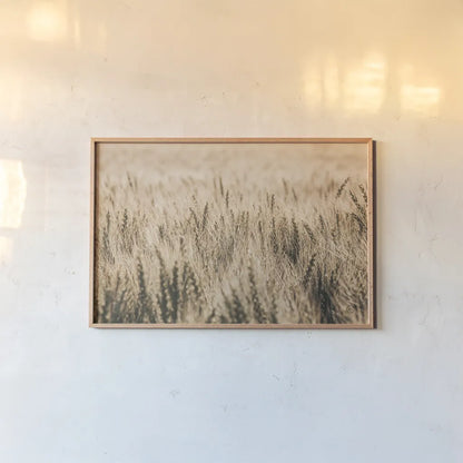 Dakota Wheat Fields by Nathan Larson. shown as a paper print in a natural frame. Available as a archival giclee rolled canvas, fine art paper, or poster print. SKU 71167i.