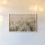 Dakota Wheat Fields by Nathan Larson. shown as a paper print in a white frame. Available as a archival giclee rolled canvas, fine art paper, or poster print. SKU 71167i.