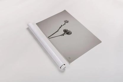 Daylily Pod Study by Nathan Larson. shown as a rolled paper print. Available as archival giclee rolled canvas, fine art paper, or poster print. SKU 76845i.