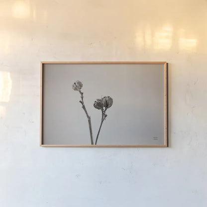 Daylily Pod Study by Nathan Larson. shown as a paper print in a natural frame. Available as a archival giclee rolled canvas, fine art paper, or poster print. SKU 76845i.