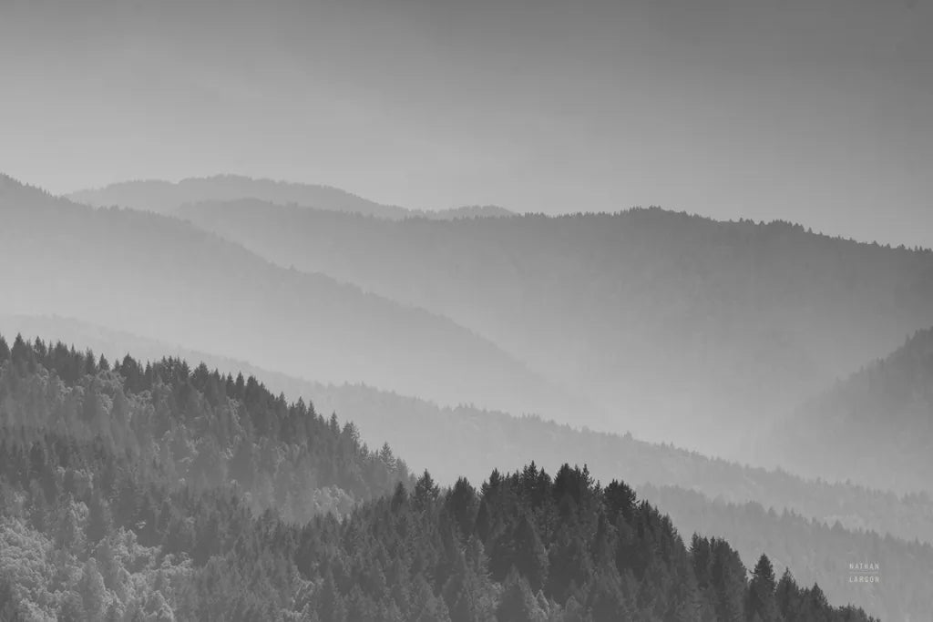 Deep in the Lost Coast by Nathan Larson. SKU 88888i. Archival Giclee Fine art print for wall decor.