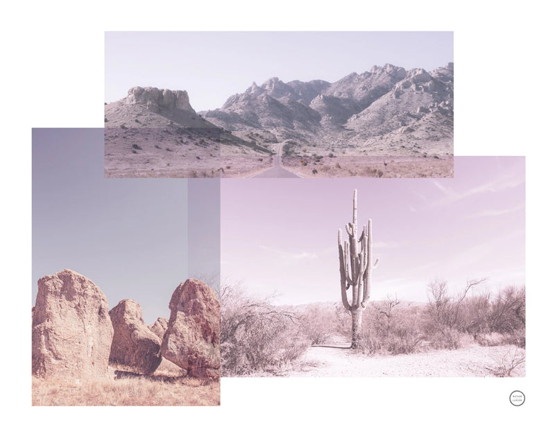 Desert Collage by Nathan Larson