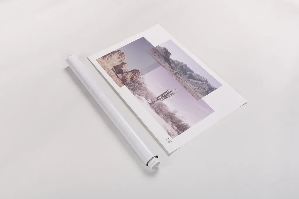 Desert Collage v2 by Nathan Larson. shown as a rolled paper print. Available as archival giclee rolled canvas, fine art paper, or poster print. SKU 80621i.