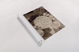 Desert Heart by Nathan Larson. shown as a rolled paper print. Available as archival giclee rolled canvas, fine art paper, or poster print. SKU 103225i.
