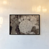 Desert Heart by Nathan Larson. shown as a paper print in a black flame. Available as a archival giclee rolled canvas, fine art paper, or poster print. SKU 103225i.
