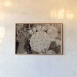 Desert Heart by Nathan Larson. shown as a paper print in a natural frame. Available as a archival giclee rolled canvas, fine art paper, or poster print. SKU 103225i.