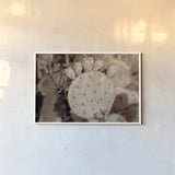 Desert Heart by Nathan Larson. shown as a paper print in a white frame. Available as a archival giclee rolled canvas, fine art paper, or poster print. SKU 103225i.