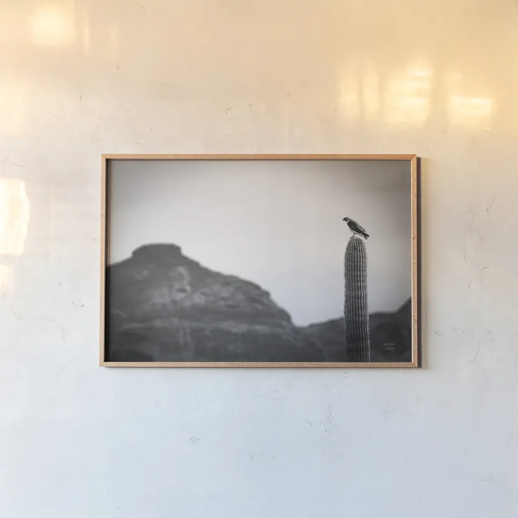 Desert Hunter by Nathan Larson. shown as a paper print in a natural frame. Available as a archival giclee rolled canvas, fine art paper, or poster print. SKU 90438i.