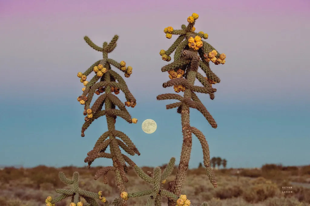 Desert Moonrise by Nathan Larson. SKU 76443i. Archival Giclee Fine art print for wall decor.