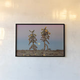 Desert Moonrise by Nathan Larson. shown as a paper print in a black flame. Available as a archival giclee rolled canvas, fine art paper, or poster print. SKU 76443i.