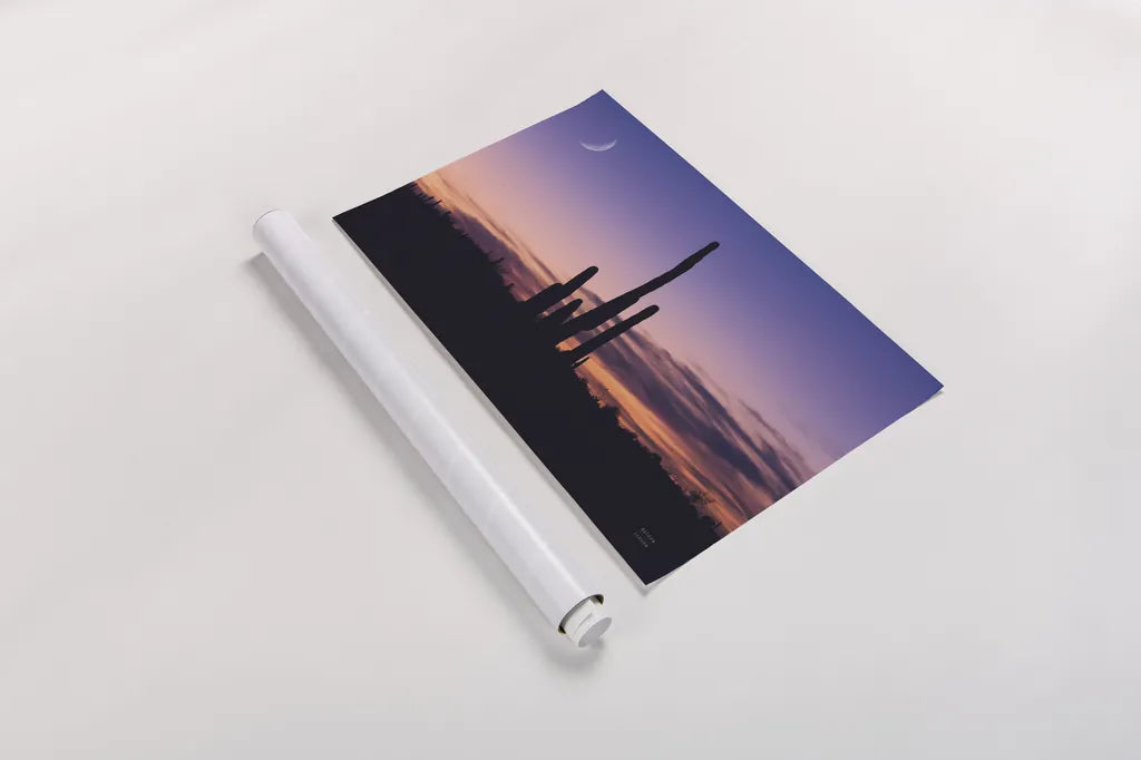 Desert Moons by Nathan Larson. shown as a rolled paper print. Available as archival giclee rolled canvas, fine art paper, or poster print. SKU 76440i.