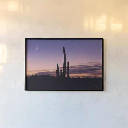 Desert Moons by Nathan Larson. shown as a paper print in a black flame. Available as a archival giclee rolled canvas, fine art paper, or poster print. SKU 76440i.