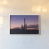 Desert Moons by Nathan Larson. shown as a paper print in a white frame. Available as a archival giclee rolled canvas, fine art paper, or poster print. SKU 76440i.