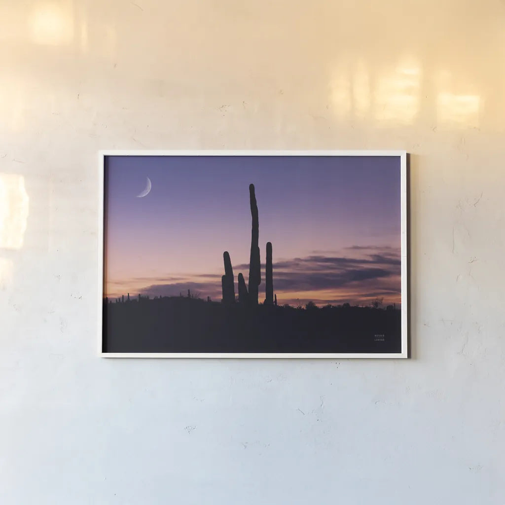 Desert Moons by Nathan Larson. shown as a paper print in a white frame. Available as a archival giclee rolled canvas, fine art paper, or poster print. SKU 76440i.