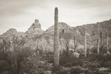 Desert Mornings by Nathan Larson. SKU 92320i. Archival Giclee Fine art print for wall decor.