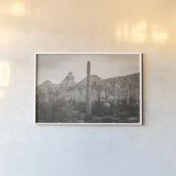 Desert Mornings by Nathan Larson. shown as a paper print in a white frame. Available as a archival giclee rolled canvas, fine art paper, or poster print. SKU 92320i.