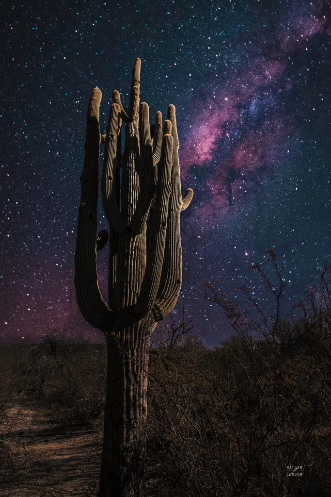 Desert Nights by Nathan Larson. SKU 76428h. Archival Giclee Fine art print for wall decor.