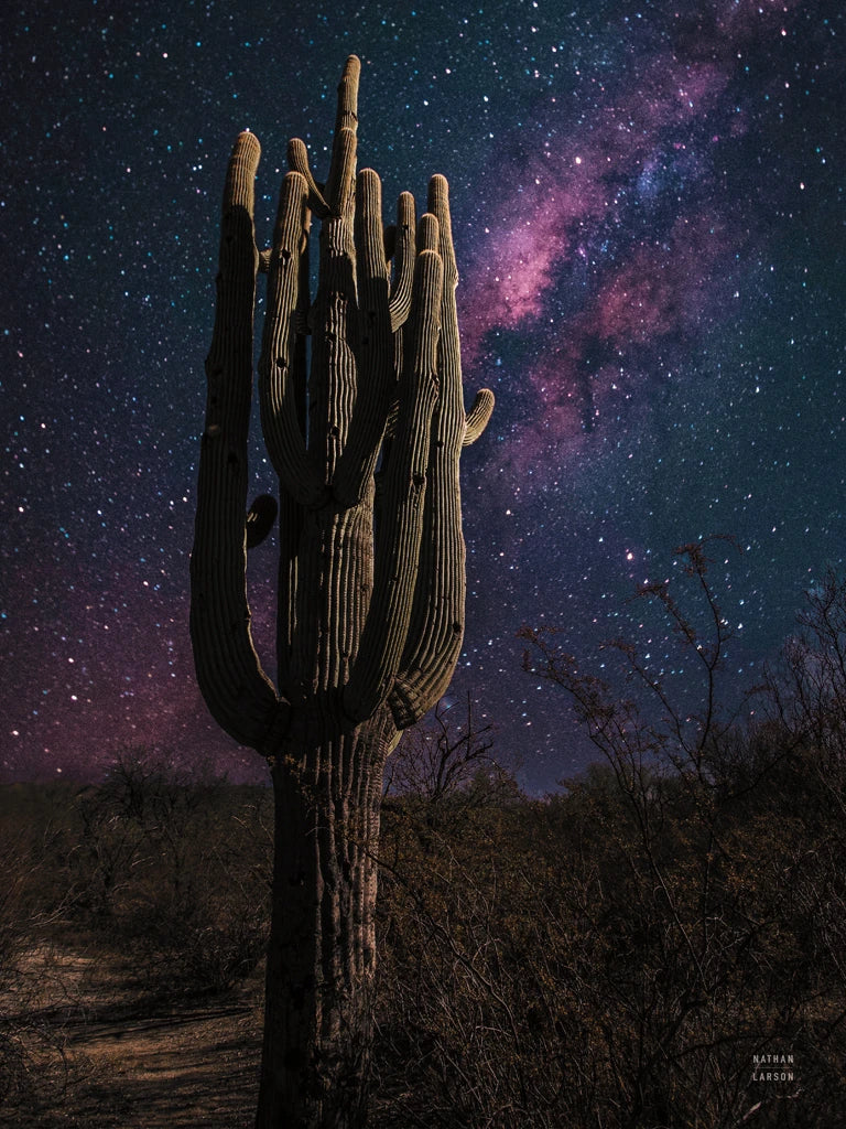 Desert Nights Crop by Nathan Larson