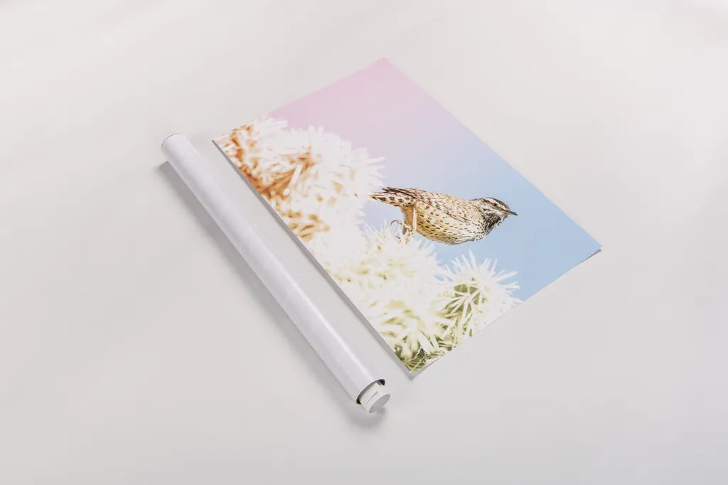 Desert Song by Nathan Larson. shown as a rolled paper print. Available as archival giclee rolled canvas, fine art paper, or poster print. SKU 97579i.