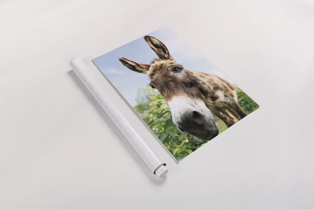 Donkey Pasture by Nathan Larson. shown as a rolled paper print. Available as archival giclee rolled canvas, fine art paper, or poster print. SKU 99952h.