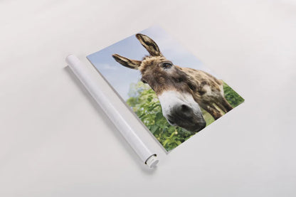 Donkey Pasture by Nathan Larson. shown as a rolled paper print. Available as archival giclee rolled canvas, fine art paper, or poster print. SKU 99952h.