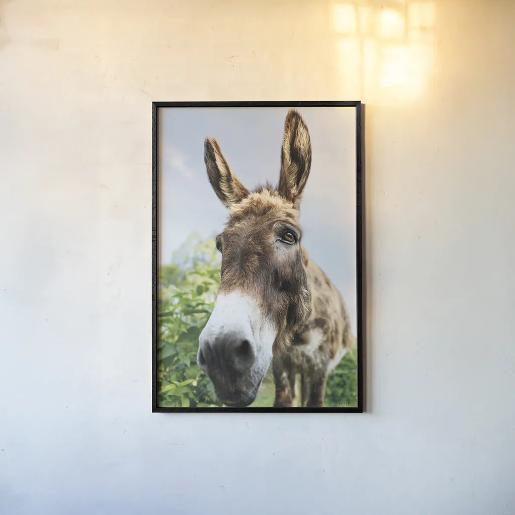 Donkey Pasture by Nathan Larson. shown as a paper print in a black flame. Available as a archival giclee rolled canvas, fine art paper, or poster print. SKU 99952h.
