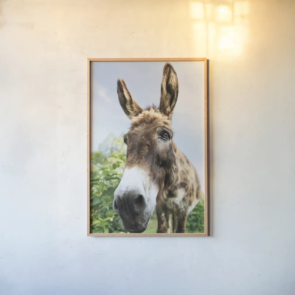 Donkey Pasture by Nathan Larson. shown as a paper print in a natural frame. Available as a archival giclee rolled canvas, fine art paper, or poster print. SKU 99952h.